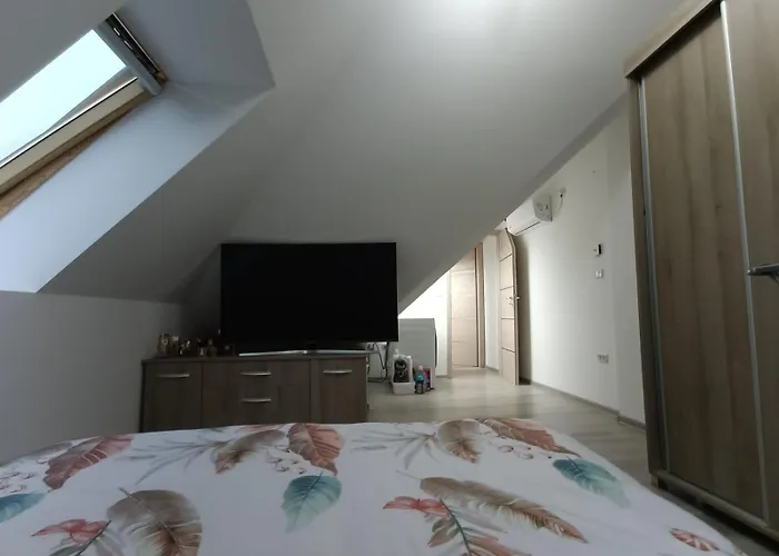 Apartment Muller Premium 12 Iulius Mall *