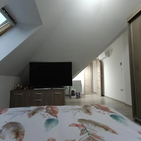 Apartment Muller Premium 12 Iulius Mall *